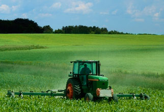 Agricultural